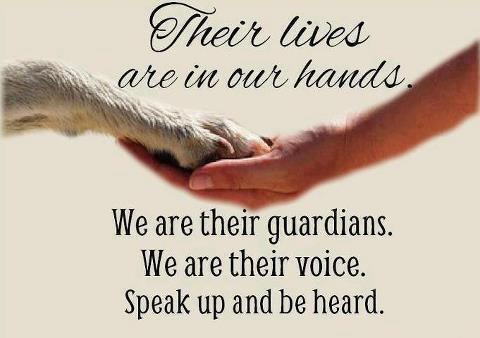 Their lives are in our hands
